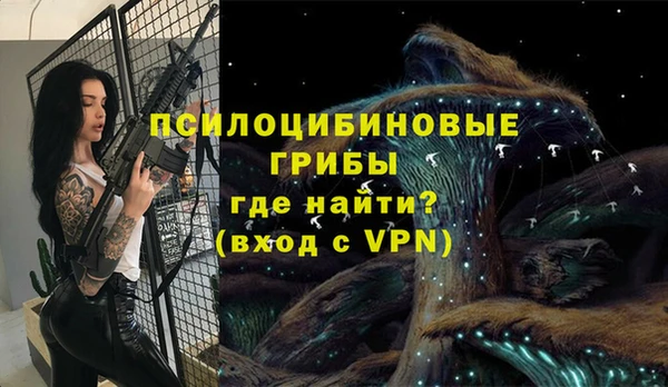 прущий лед Богородицк