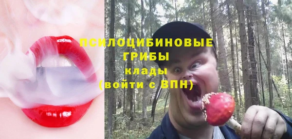 прущий лед Богородицк