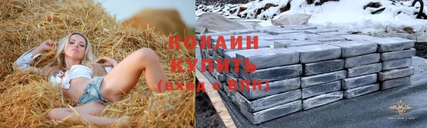 прущий лед Богородицк