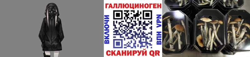 МЕГА ССЫЛКА  закладка  сайты даркнета формула  Галлюциногенные грибы мухоморы  Гусиноозёрск 